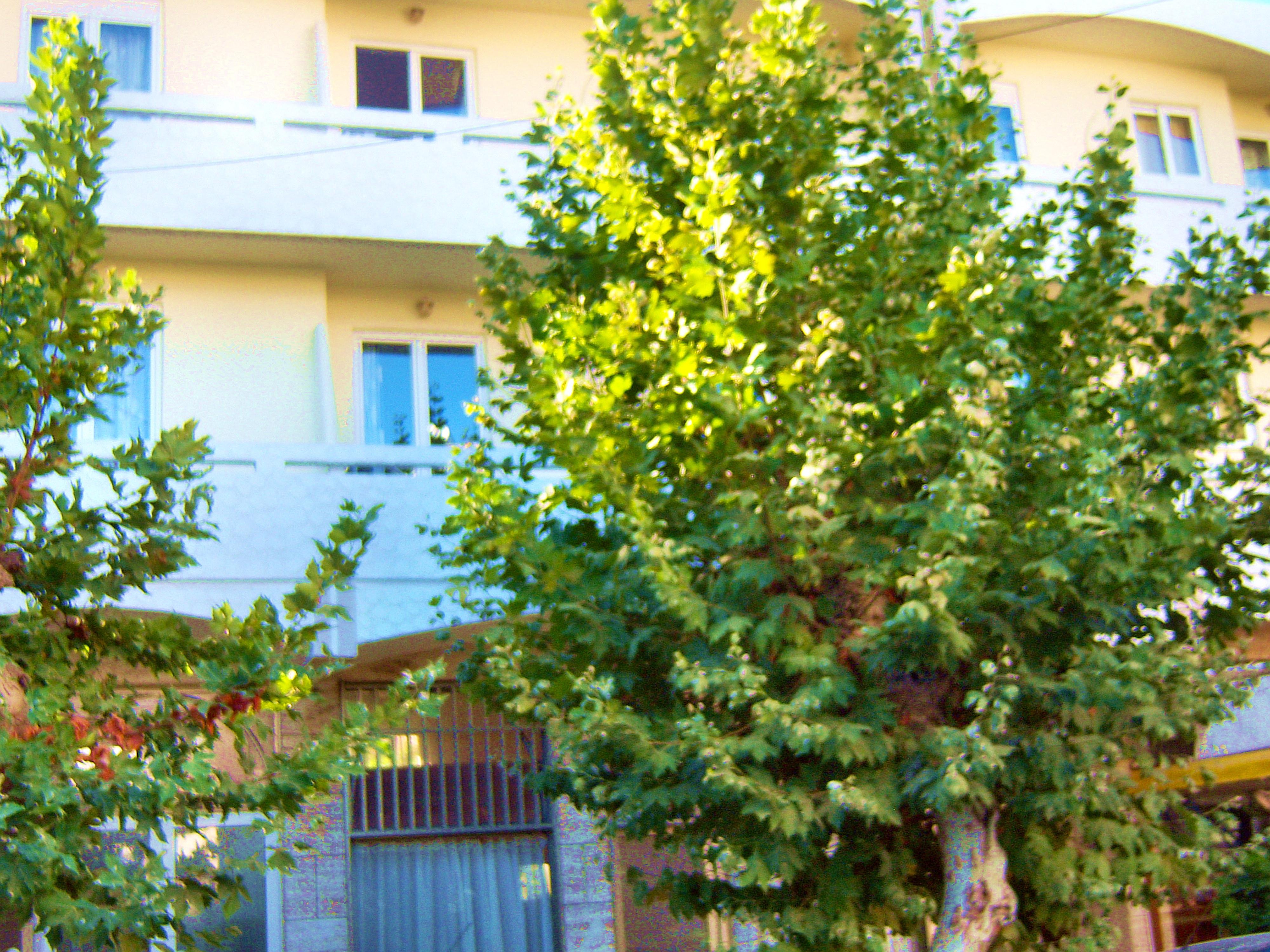 Aparthotel Fantasia 2*